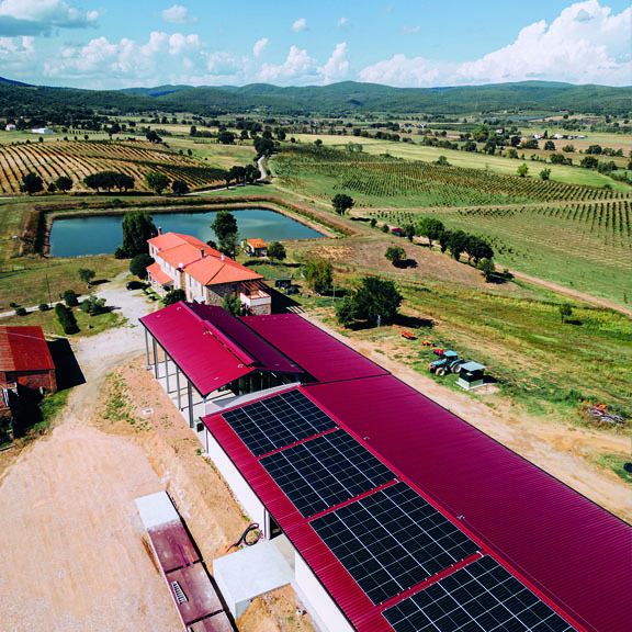 Materie prime sostenibili