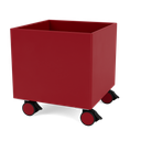 Color Box I with Castors