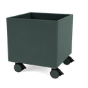 Color Box I with Castors