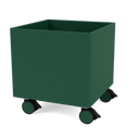 Color Box I with Castors
