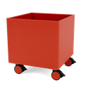 Color Box I with Castors
