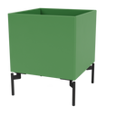 Color Box I with Legs