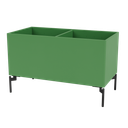 Color Box III with Legs