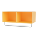 COAT Shelf with Clothes Rack