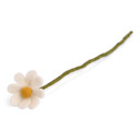 Wool Anemone Flower