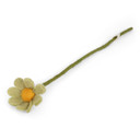 Wool Anemone Flower