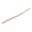 Wool Willow Branch