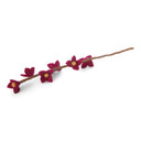 Wool Flowers on Stalk