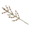 Wool Branch with Berries