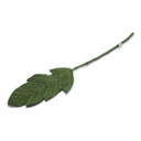 Wool Big Leaf