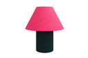 Toto Table Lamp