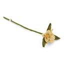 Wool Flowers on Branch
