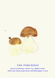 The Porchinis