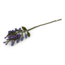 Wool Wisteria