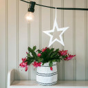 Ceramic Star Ornament