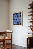 Blue Flowers