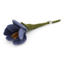 Small Wool Crocus