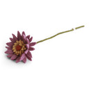 Wool Gerbera Flower