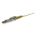 Wool Foxglove Flower