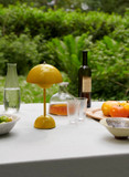 Flowerpot Portable LED Table Lamp VP9