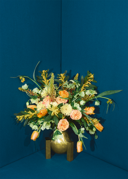 Blomst 05 - Petroleum