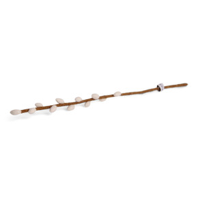 Wool Willow Branch