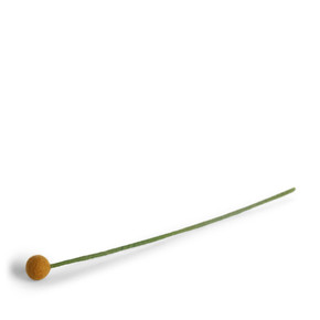 Wool Ball Flower Small