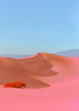 Dunes II