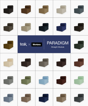 Paradigm Straight Module