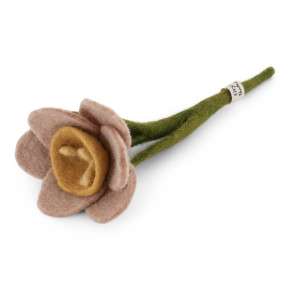 Small Wool Daffodil