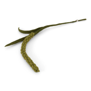 Wool Amaranth