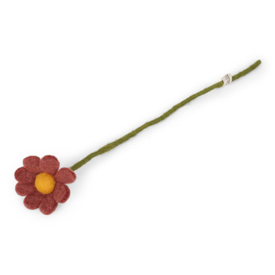 Wool Anemone Flower