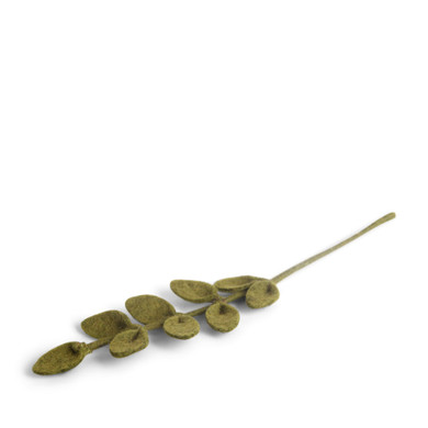 Wool Leaf Branch