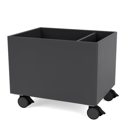 Color Box II with Castors