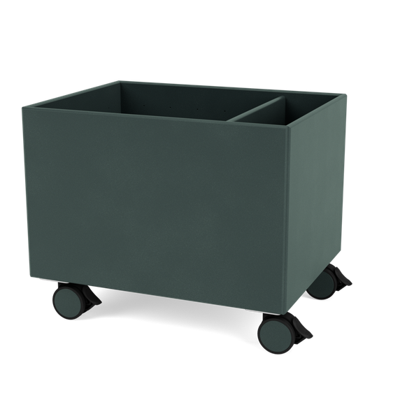 Color Box II with Castors