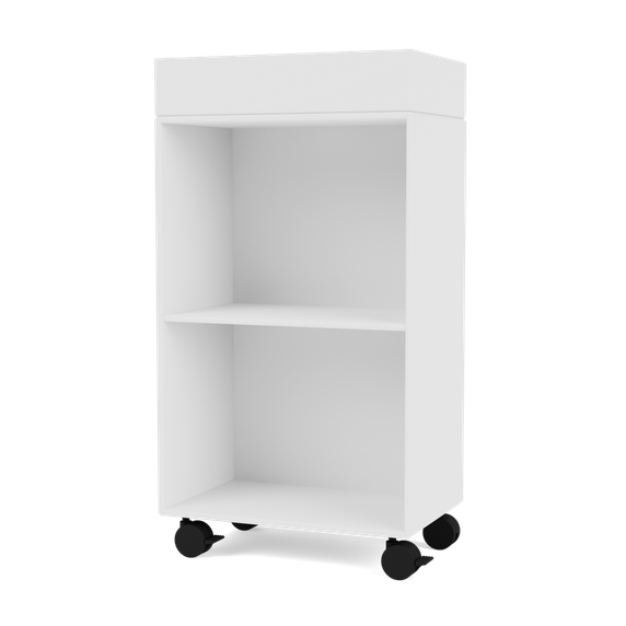 PREPPY Trolley