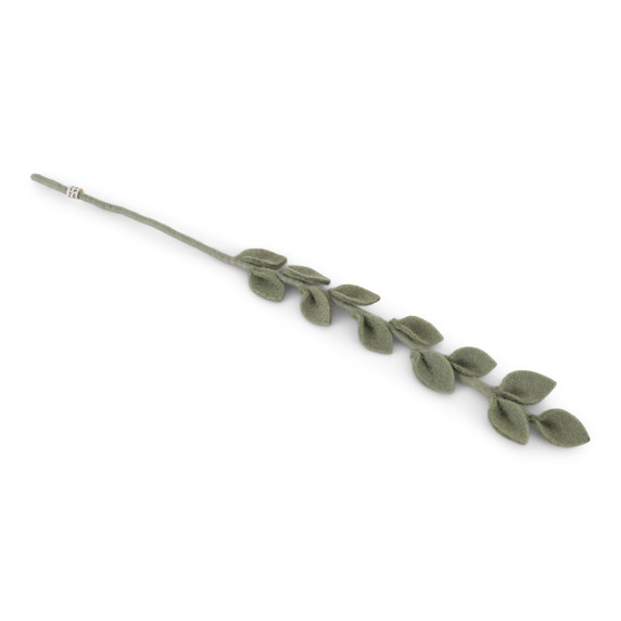 Wool Eucalyptus Branch