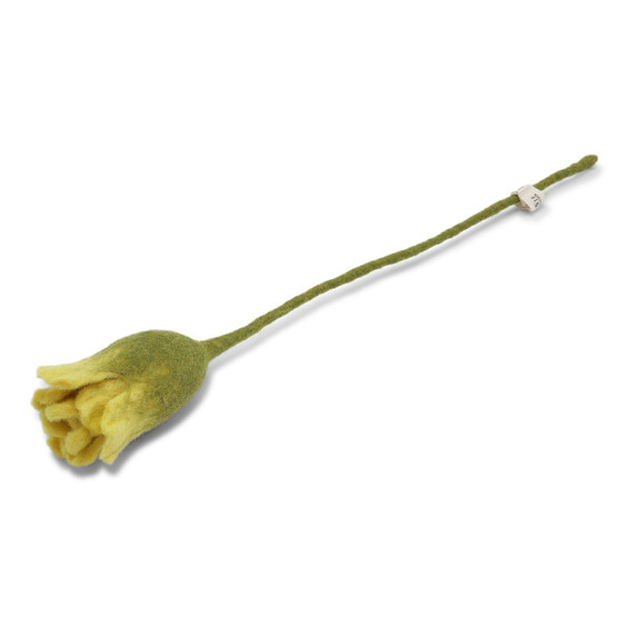 Wool Tulip
