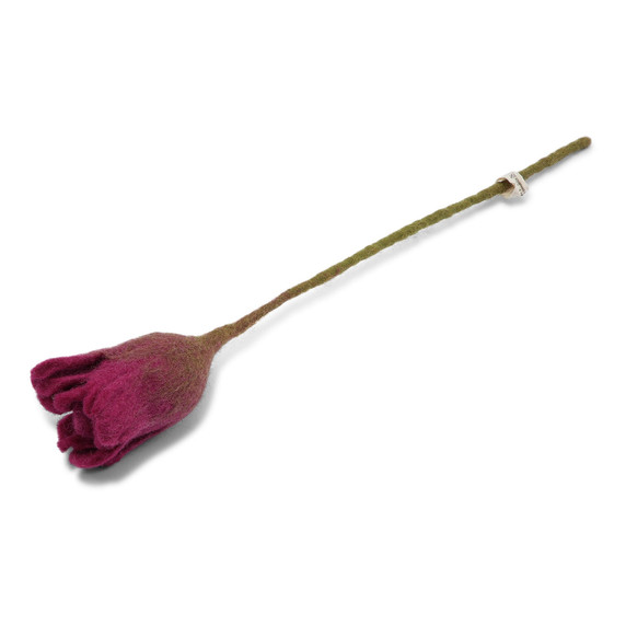 Wool Tulip