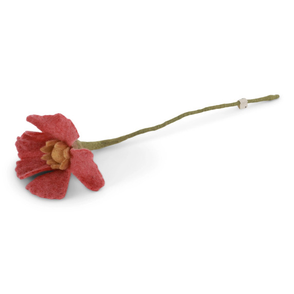 Wool Poppy