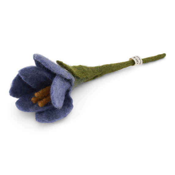 Small Wool Crocus