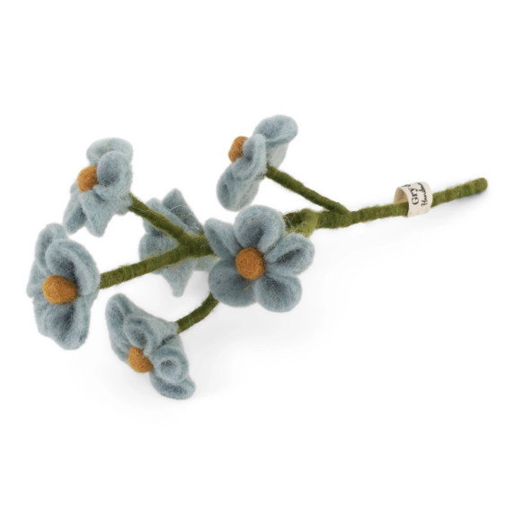 Small Wool Forget-Me-Not