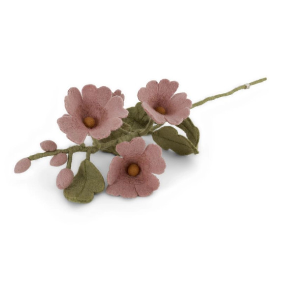 Wool Hollyhock