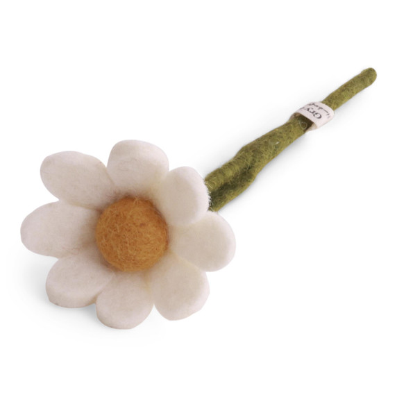 Small Wool Anemone with Leaf
