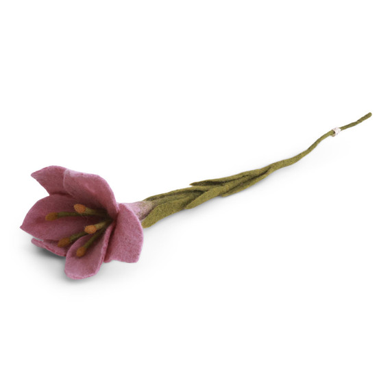 Wool Trumpet Lily Flower