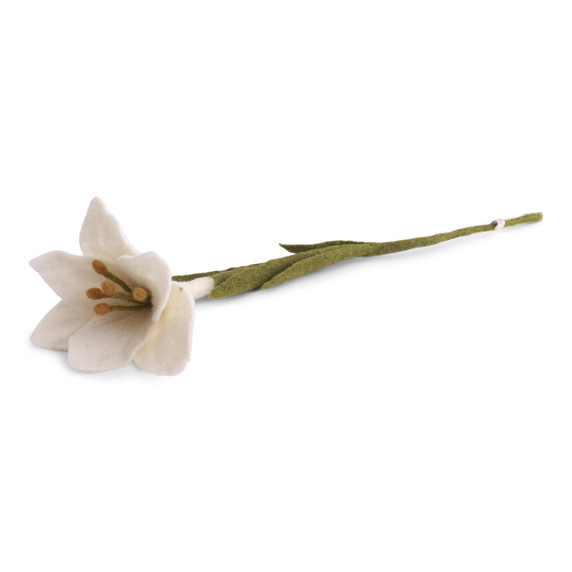 Wool Trumpet Lily Flower
