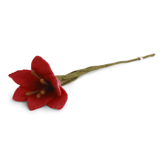 Wool Trumpet Lily Flower