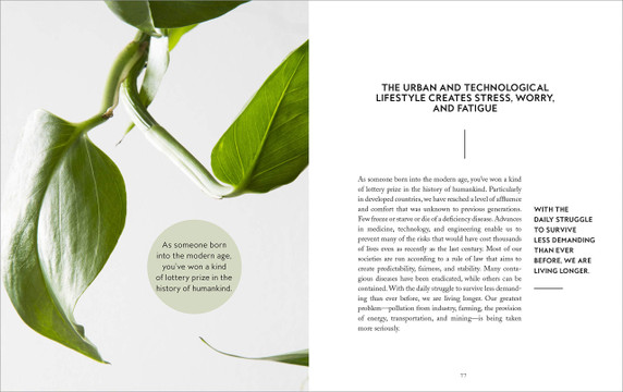 Skogluft: Forest Air Book