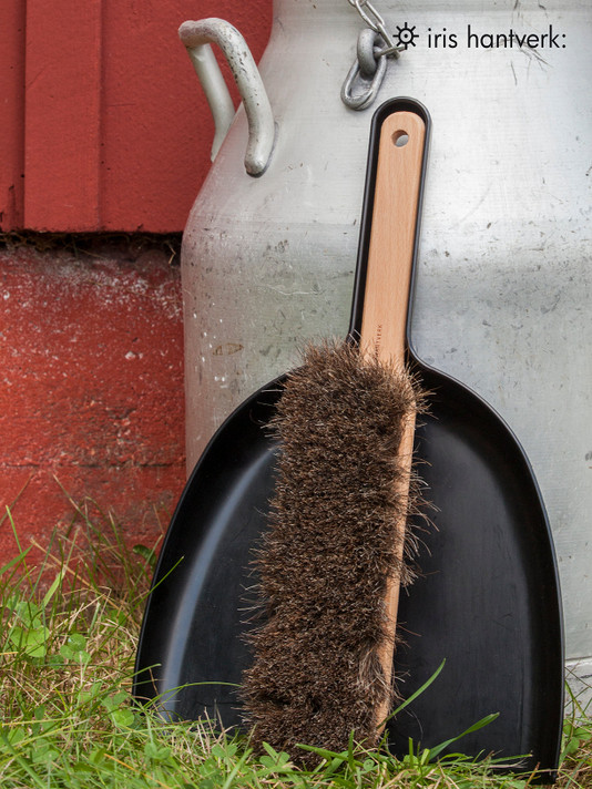 Dustpan & Brush Set