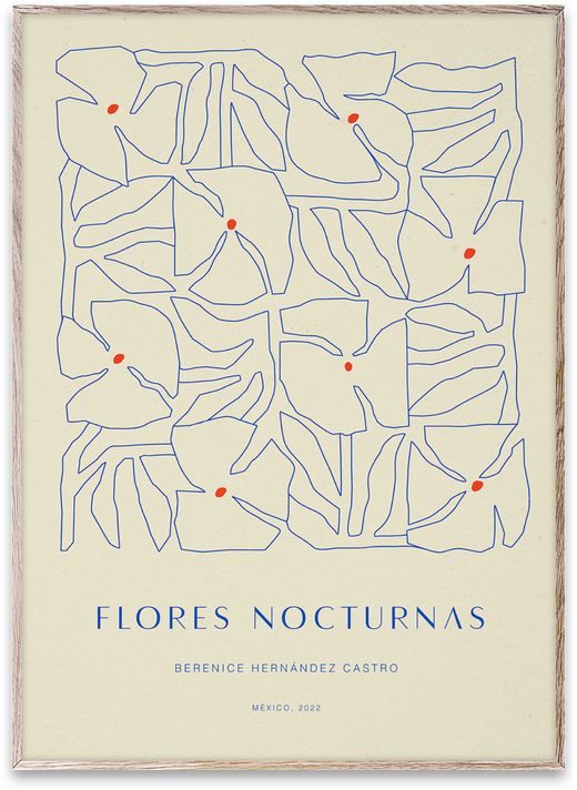 Flores Nocturnas 01